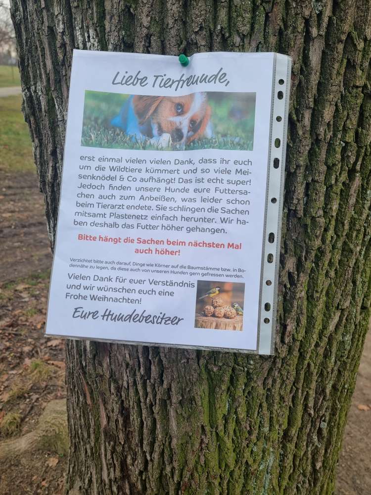 Giftköder-Meissenknödel-Profilbild