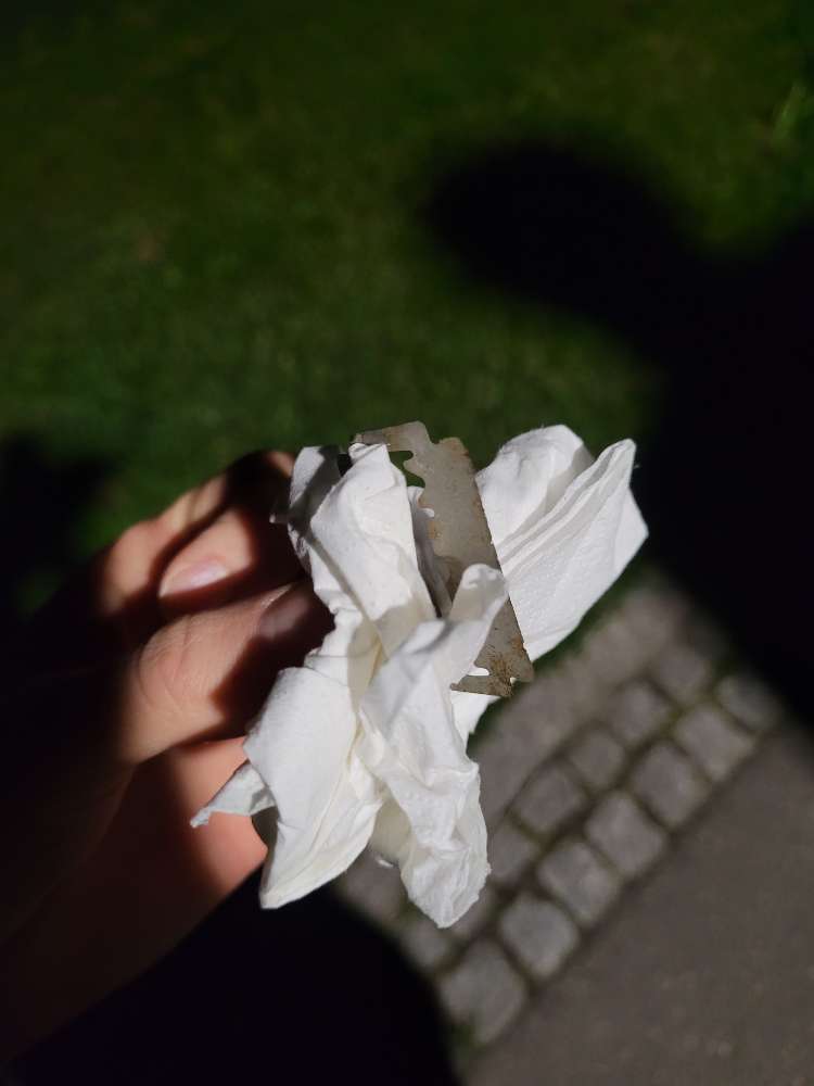 Giftköder-Vermutlicher Giftköder-Profilbild