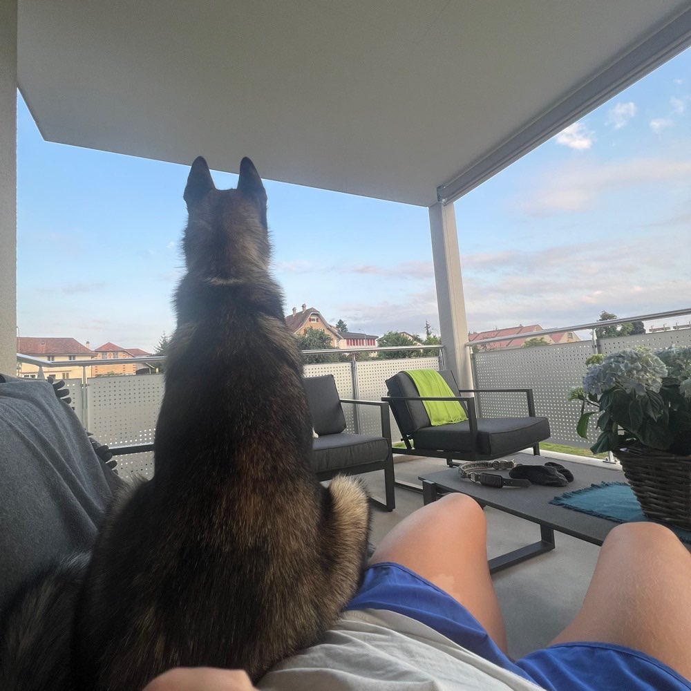 Hundetreffen-Social Walk in Knutwil/ Umgebung-Profilbild