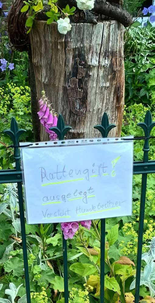Giftköder-Rattengift-Profilbild