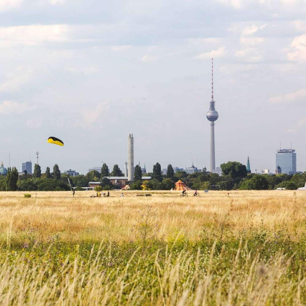 Hundetreffen-Gassi/spielen am Tempelhofer Feld-Profilbild