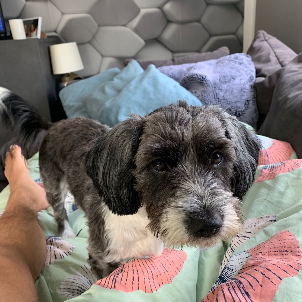 Suchmeldung-Nala-Profilbild