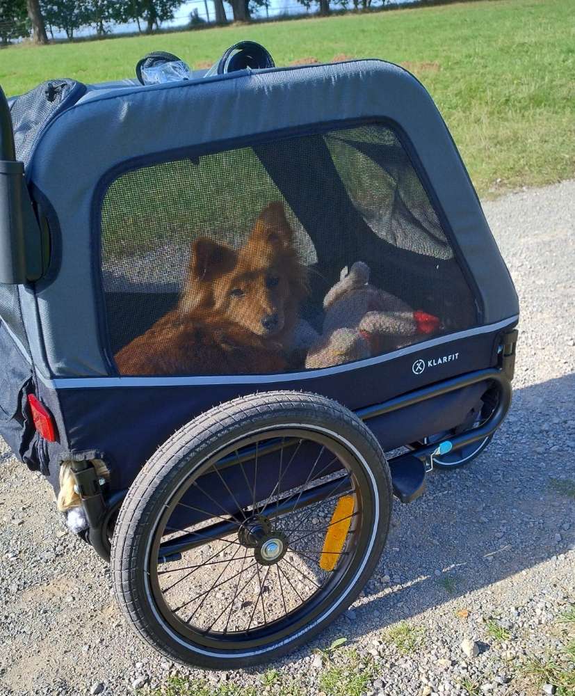 Eure Fellnase in seinem Fahrradanhänger Banner