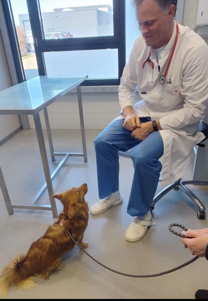 Eure Fellnase beim Tierarzt/Tierärztin 🤗🐕🤗 Banner