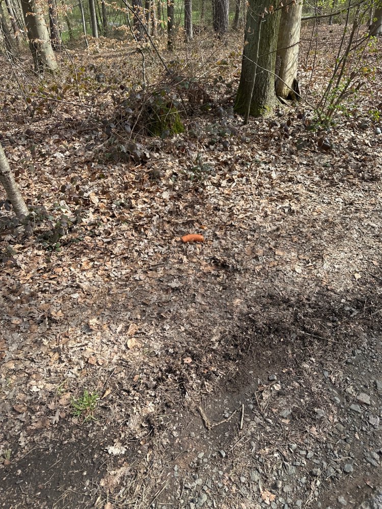 Giftköder-Möglicherweise Giftköder-Profilbild