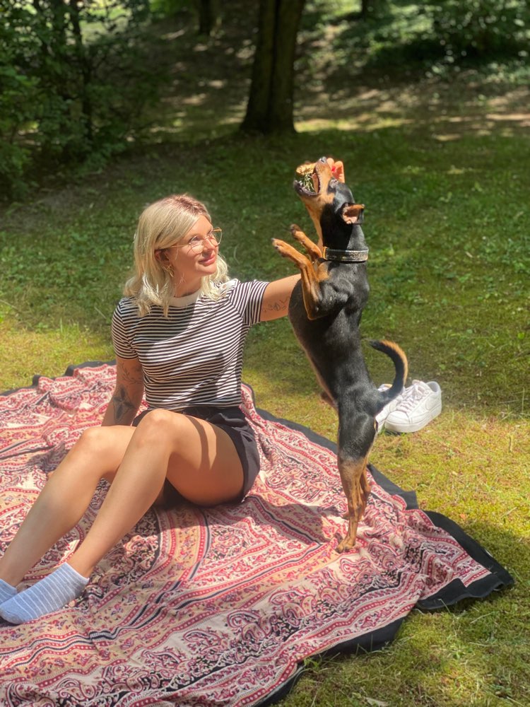 Hundetreffen-Spielfreunde gesucht-Profilbild