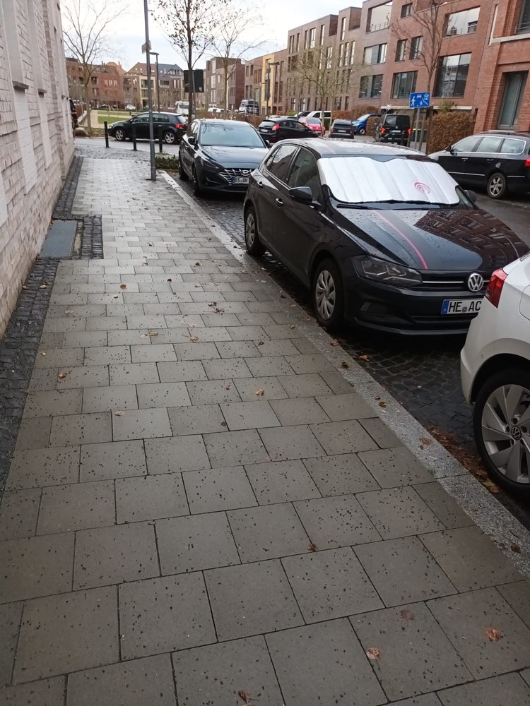 Giftköder-Unbekannte ausgelegte Wurst-Profilbild