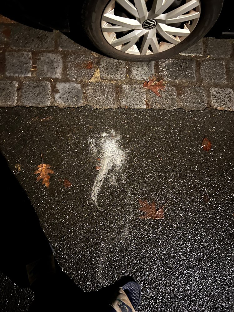 Giftköder-Vermutlich Giftköder/ Pulver-Profilbild