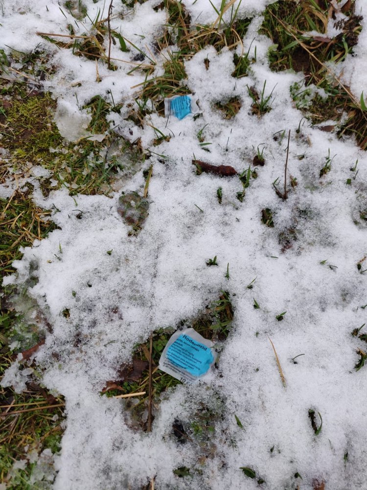 Giftköder-Rodentizidköder-Profilbild