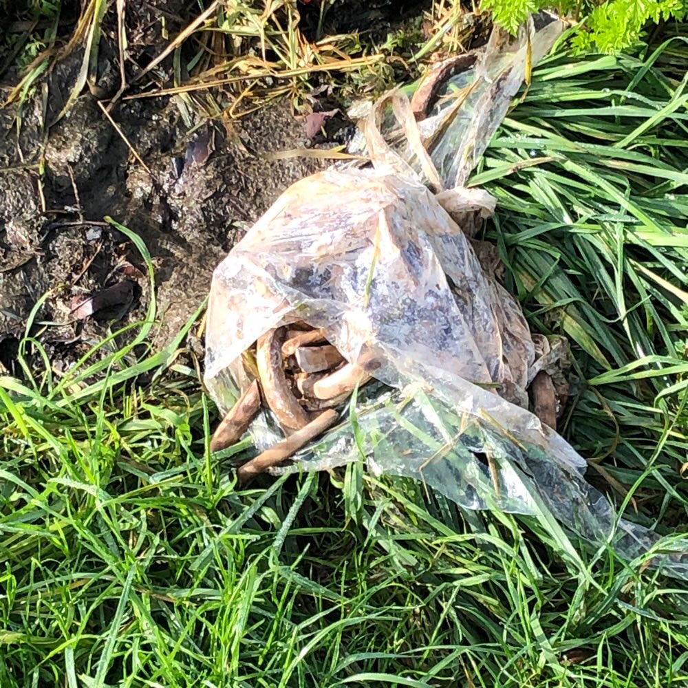 Giftköder-Kochen-Profilbild