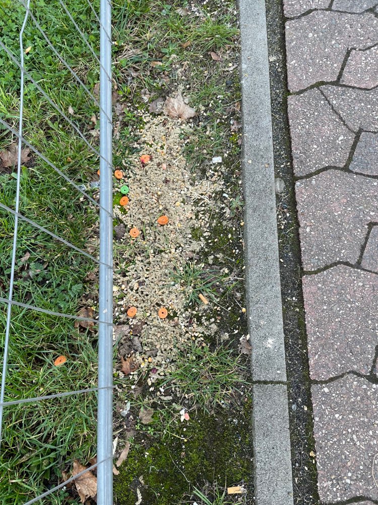 Giftköder-Lockfutter-Profilbild