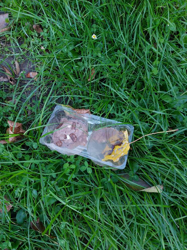 Giftköder-Giftköder-Profilbild