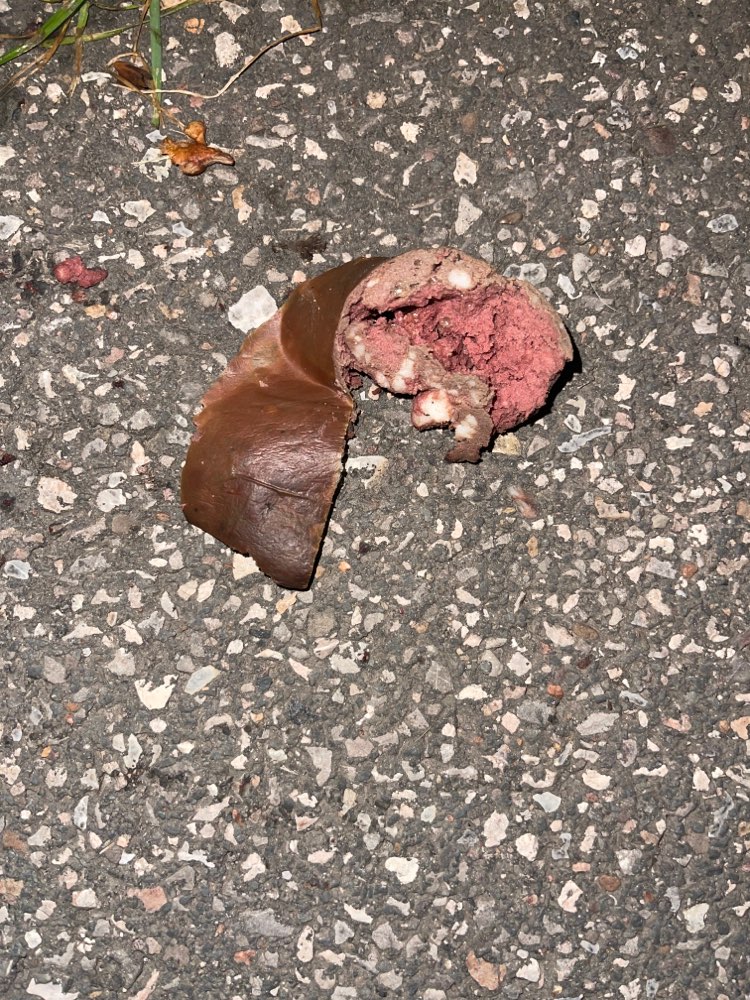 Giftköder-Evtl. Giftköder-Profilbild