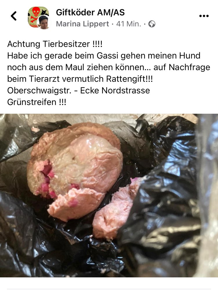 Giftköder-Giftköder-Profilbild