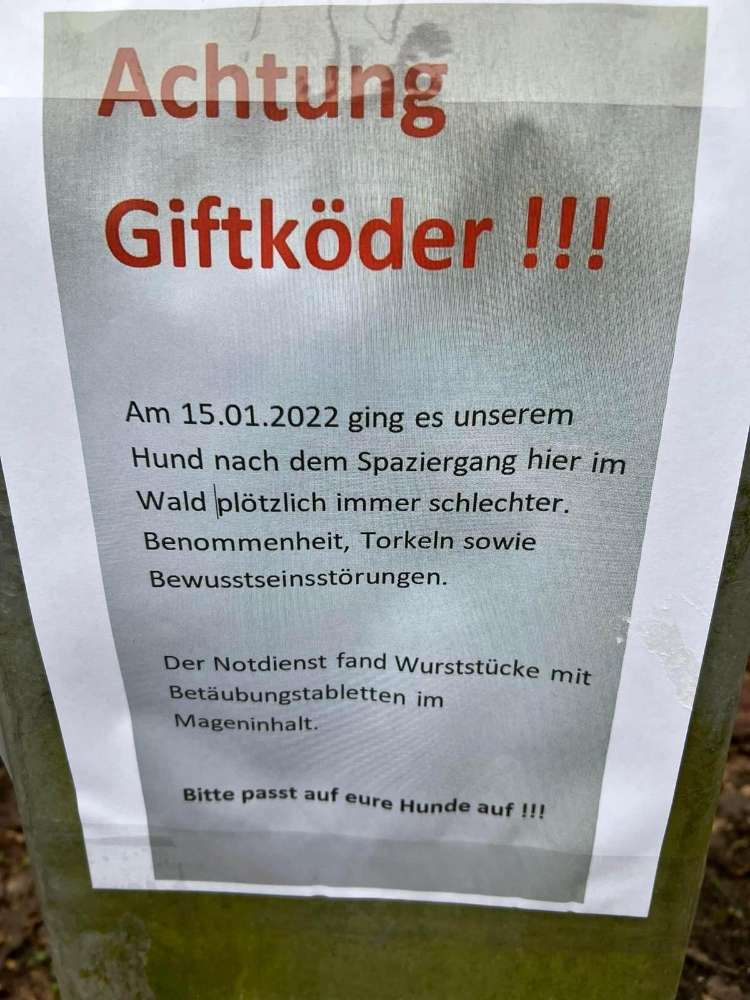 Giftköder-Giftköder im Wald-Profilbild
