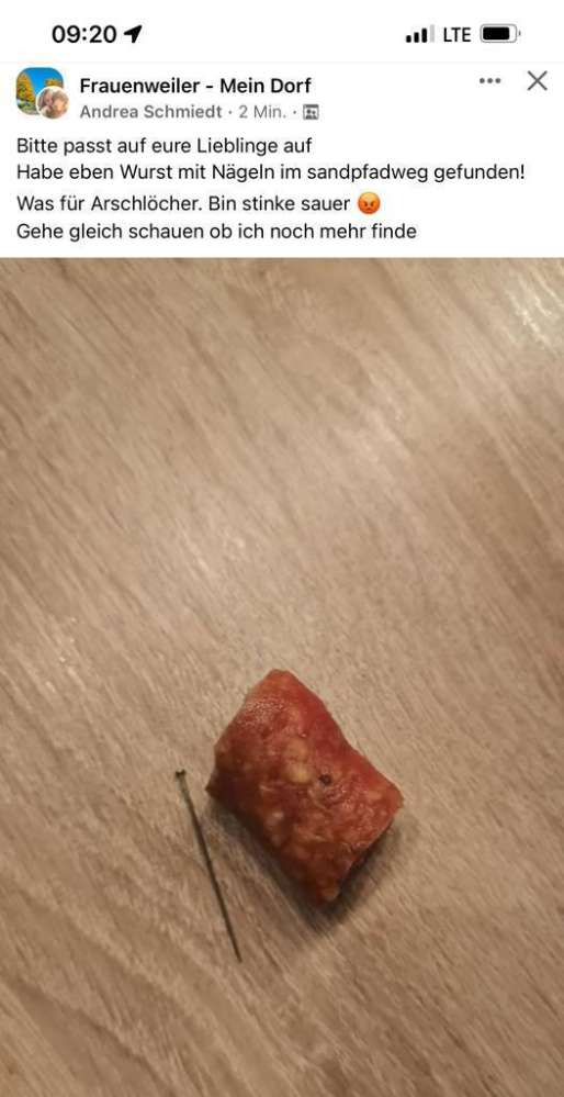 Giftköder-Giftköder Wurst mit Nägeln-Profilbild