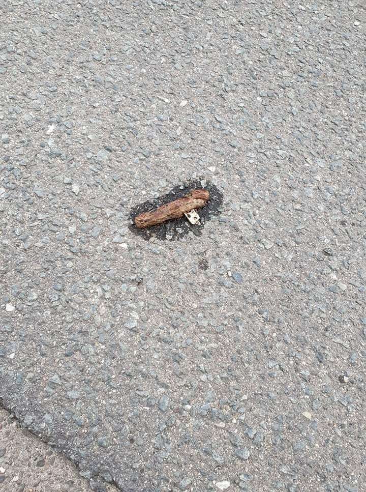 Giftköder-Wurst mit Rasierklinge-Profilbild