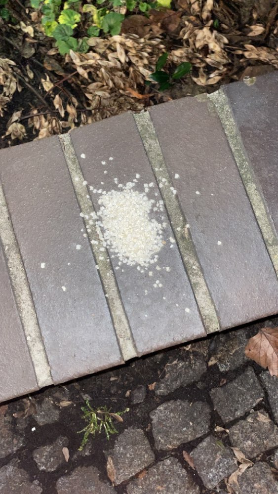 Giftköder-Weißes Pulver-Profilbild