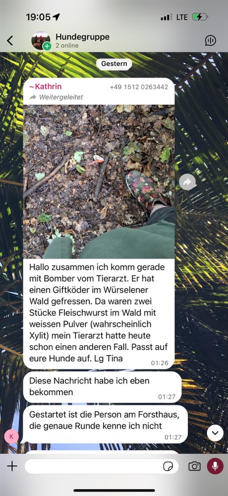 Giftköder-Fleischwurst mit weißem Pulver-Profilbild