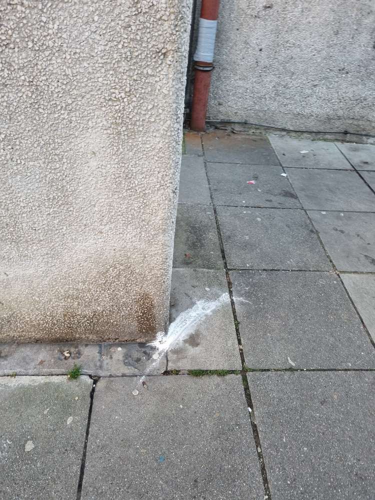 Giftköder-Pulver im gesamten Heusteigviertel-Profilbild