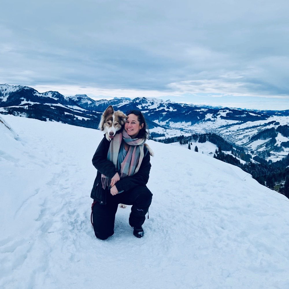 Hundetreffen-Hundebegegnung/Trainingsspaziergänge-Profilbild