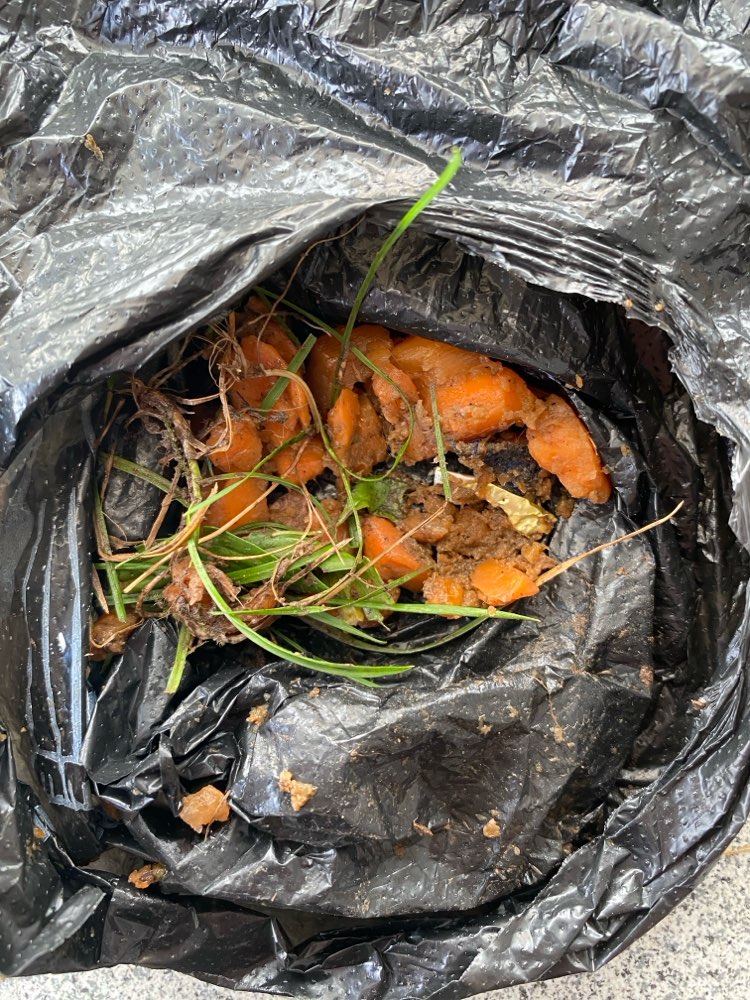 Giftköder-Evtl. Giftköder-Profilbild