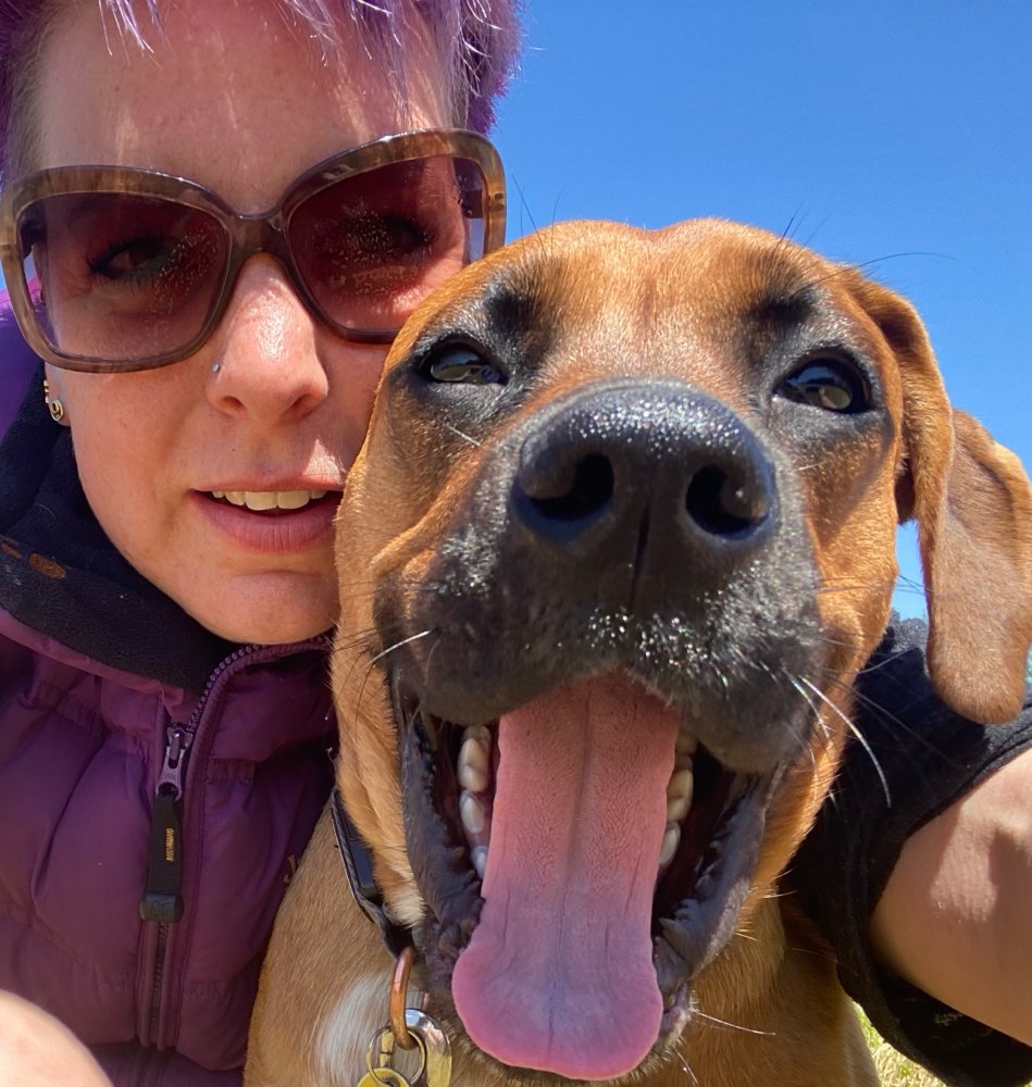 Hundetreffen-Gassirunde & Spielerunde-Profilbild