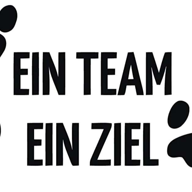 Hundetreffen-Mantrailing-Profilbild