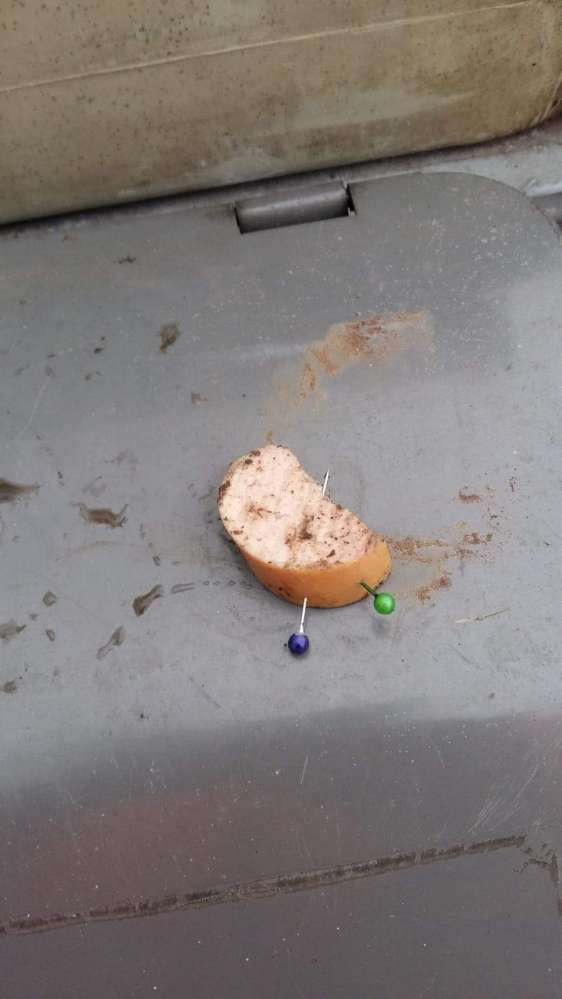 Giftköder-Wurst mit Nadeln-Profilbild