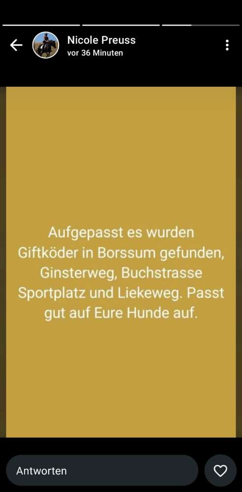 Giftköder-Giftköder-Profilbild