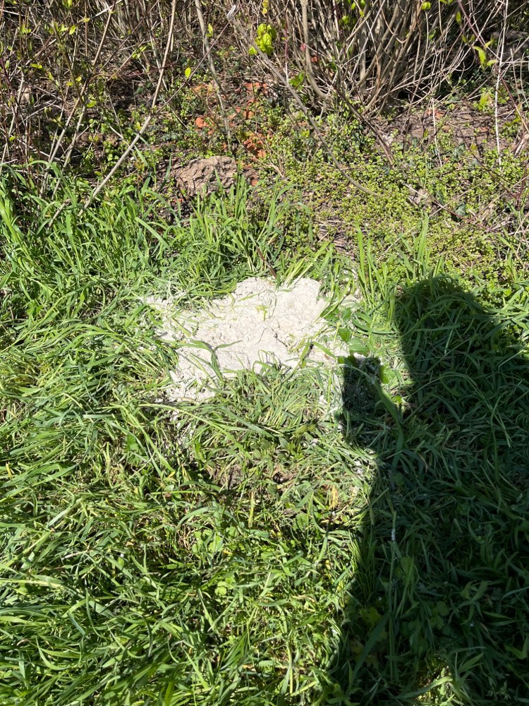 Giftköder-Weißes Pulver am Wegrand-Profilbild