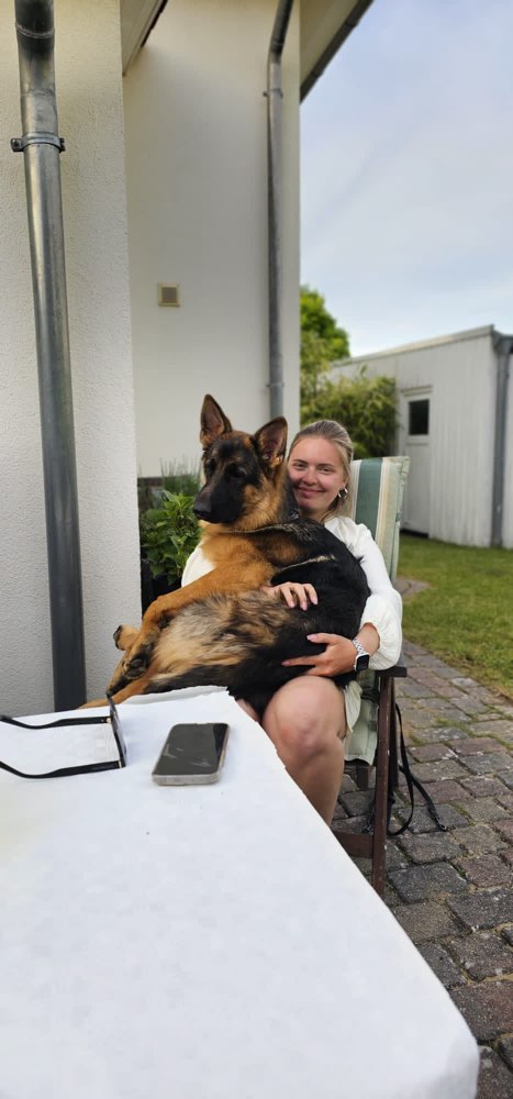 Hundetreffen-Gemeinsame Gassirunden-Profilbild