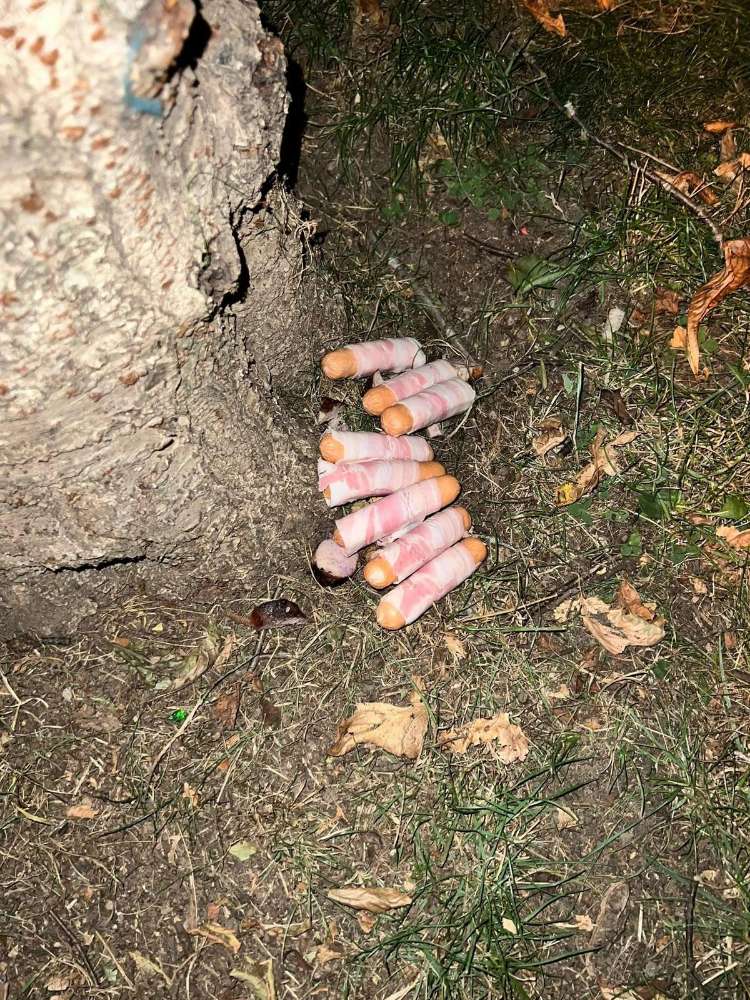 Giftköder-Giftköder-Profilbild