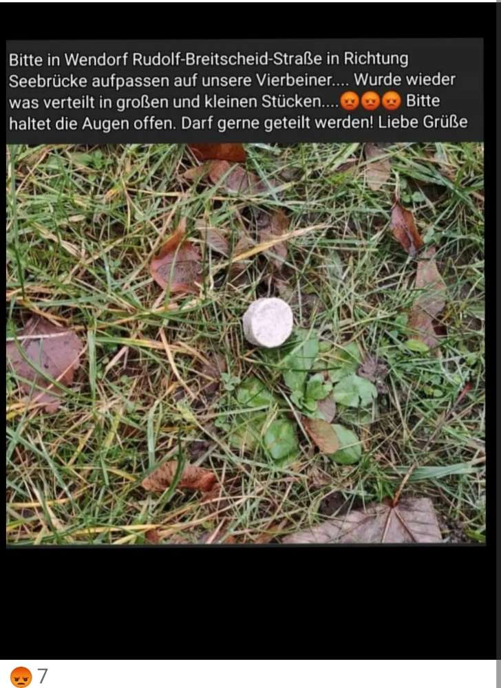 Giftköder-Giftköder-Profilbild