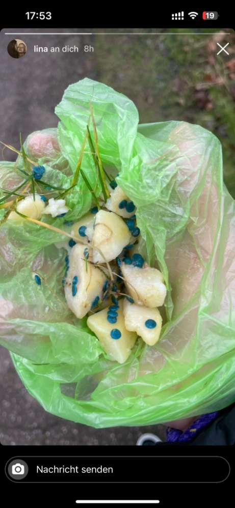 Giftköder-Giftköder im SBK Gelände-Profilbild