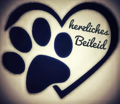 Giftköder-Dalmatiner „Hope“ verstorben-Profilbild