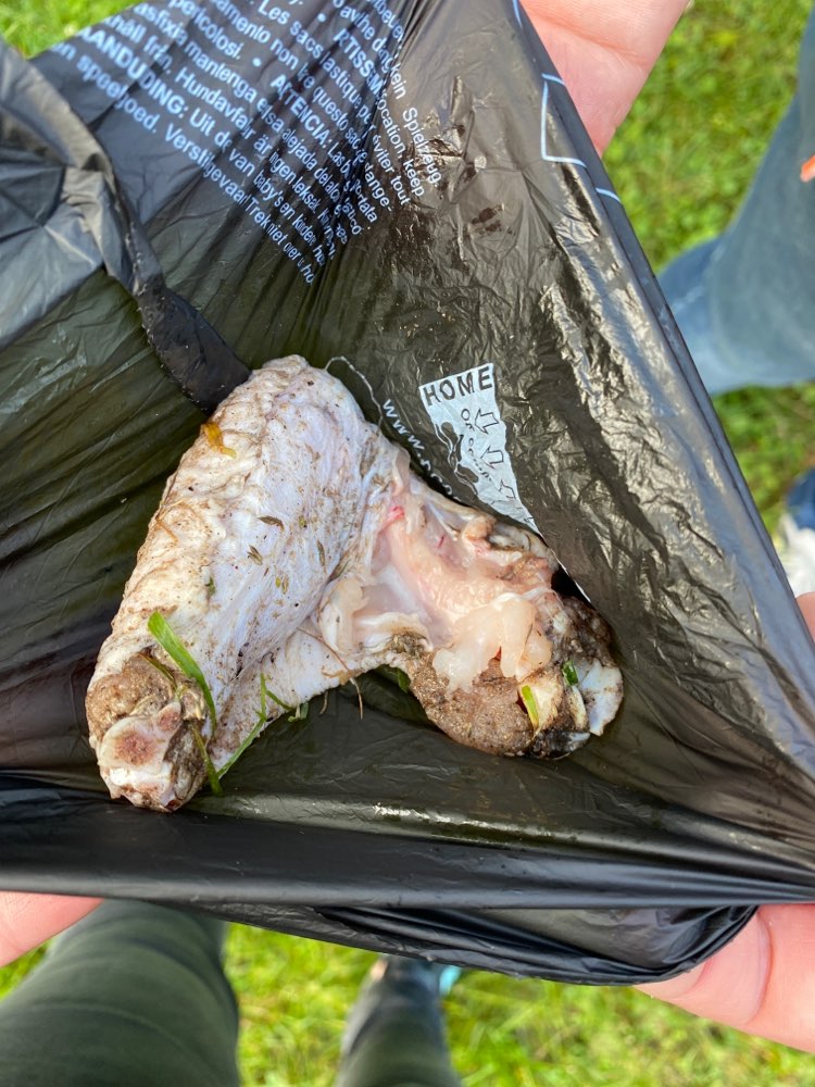 Giftköder-Roher Hühnerflügel im hohen Gras-Profilbild