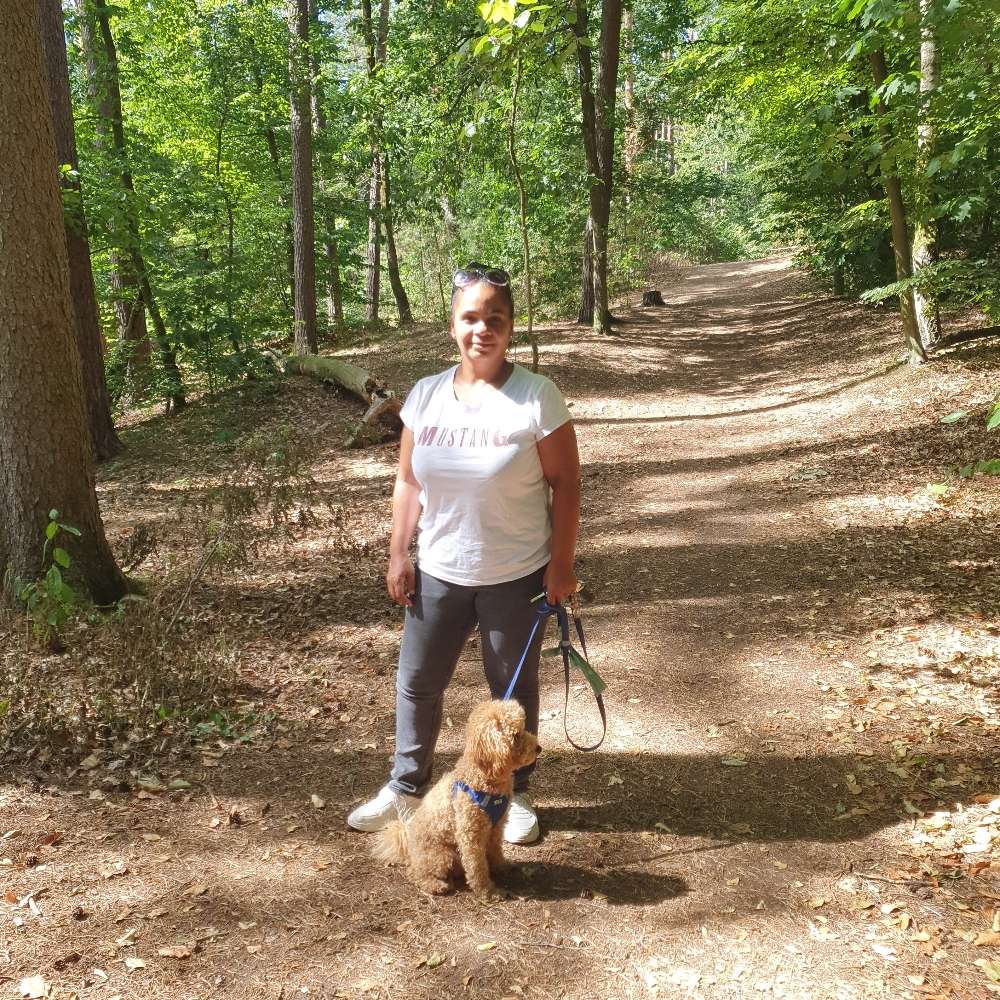 Hundetreffen-Junghunde zum treffen gassie gehn und spielen-Profilbild