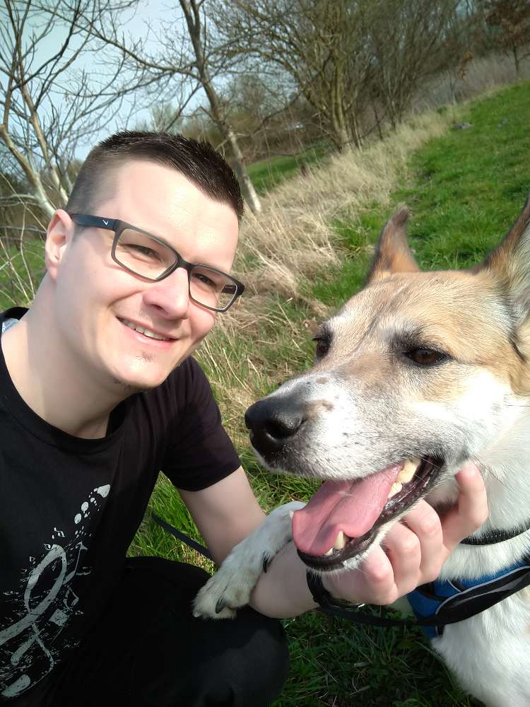 Hundetreffen-Verspieltes Hundetreffen-Profilbild