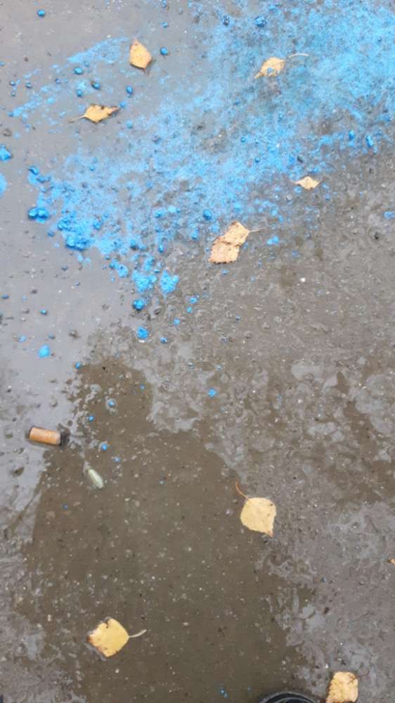 Giftköder-Giftköder-Profilbild