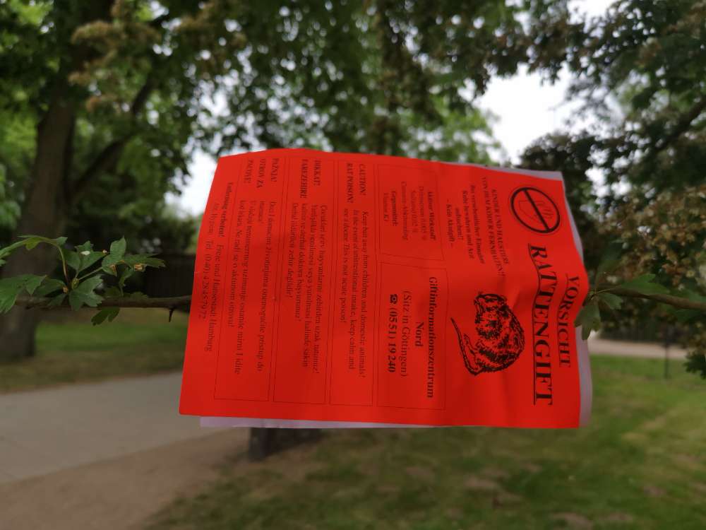 Giftköder-Rattengift (Inselpark)-Profilbild