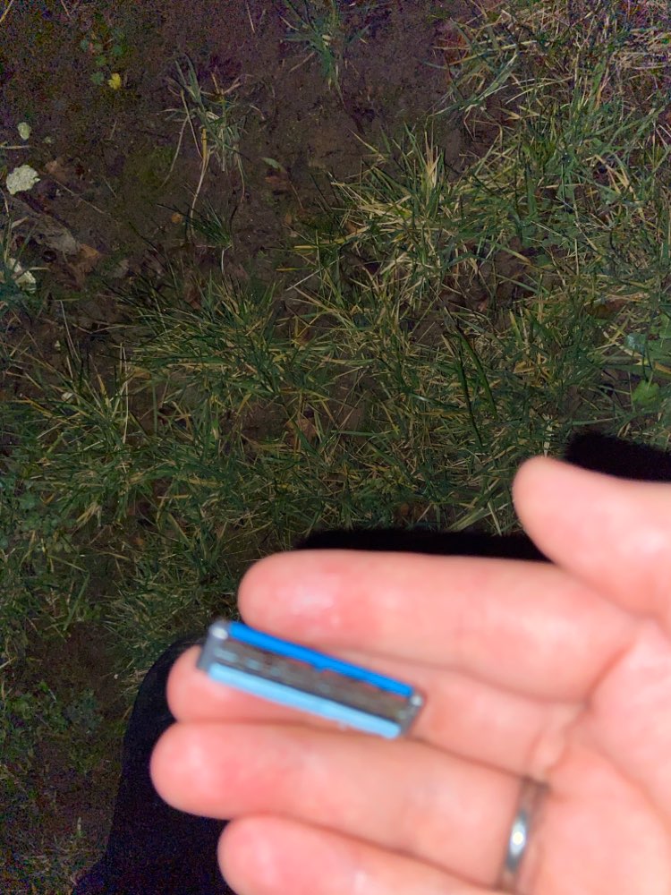 Giftköder-Rasierklingen-Profilbild