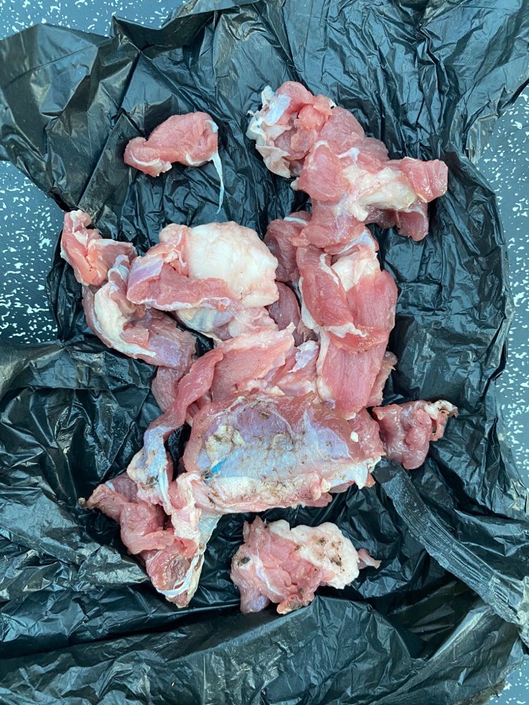 Giftköder-Giftköder-Profilbild