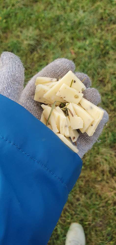 Giftköder-Käsestücke am LöWi und Umgebung-Profilbild