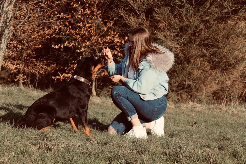 Hundetreffen-Gassi Runde mit Spielen-Profilbild