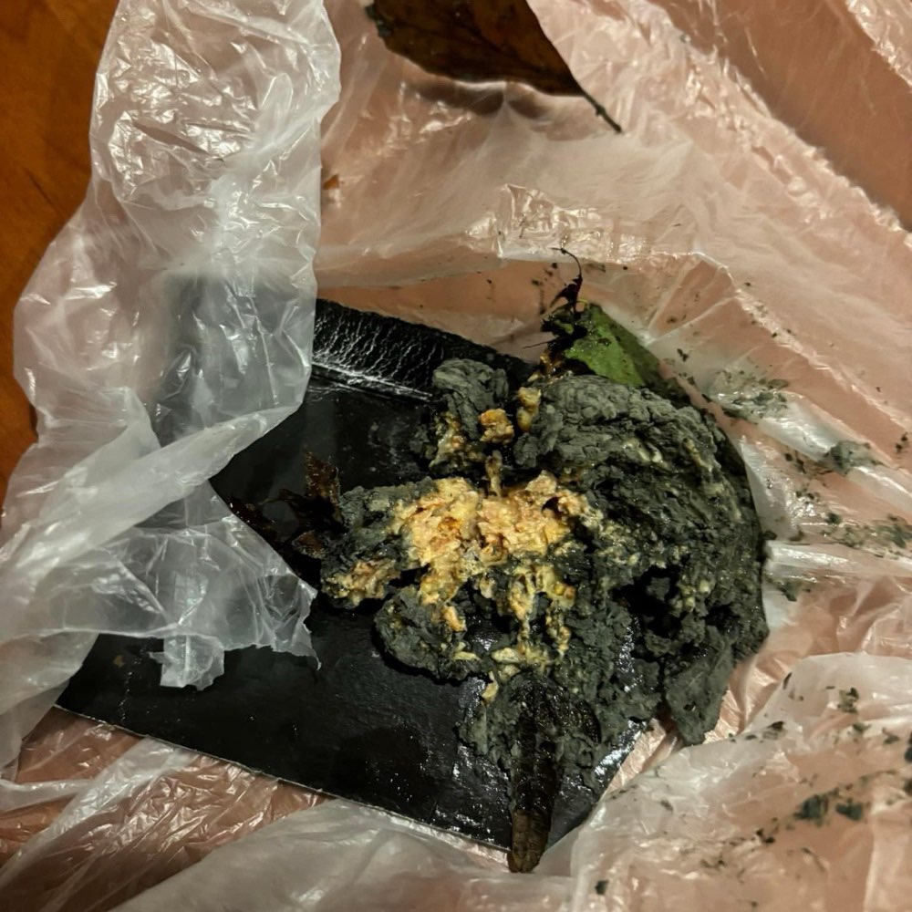 Giftköder-Giftköder-Profilbild