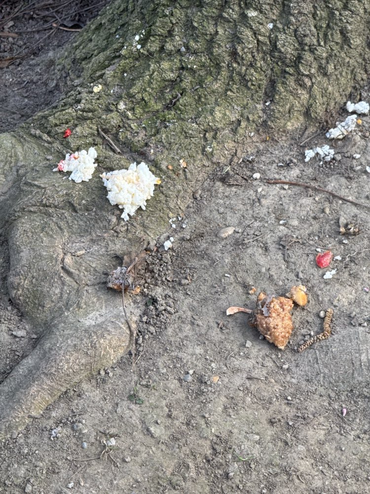 Giftköder-Unklarer Stoff-Profilbild