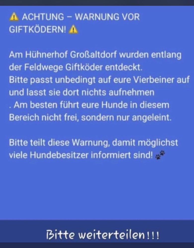 Giftköder-Giftköder-Profilbild
