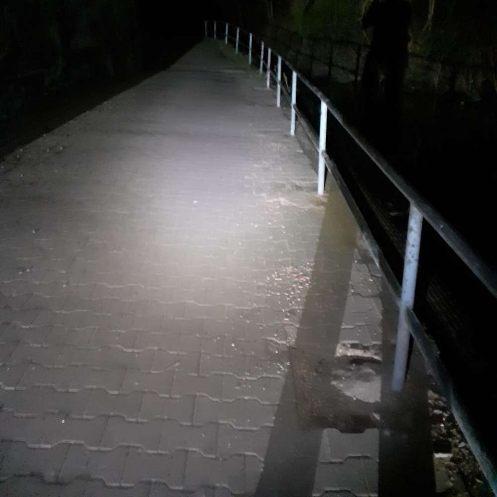 Giftköder-Weitere Giftkörder Norf-Profilbild