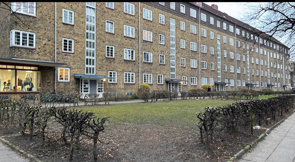 Giftköder-Giftköder in Erdnussbutter-Profilbild